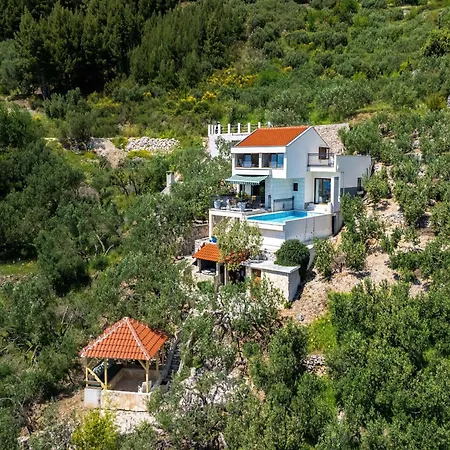 Vila In With Infinity Pool & Views